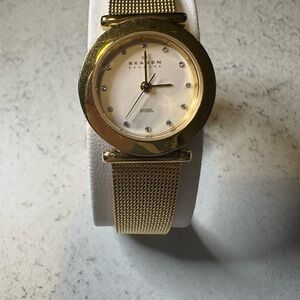 Skagen Women’s Watch